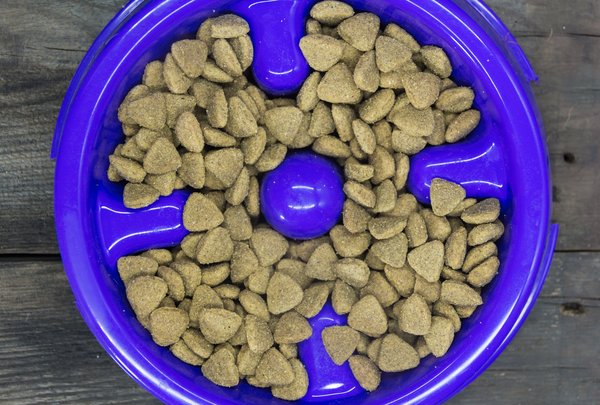 Croquettes pour chien : trouvez la formule idéale pour votre animal